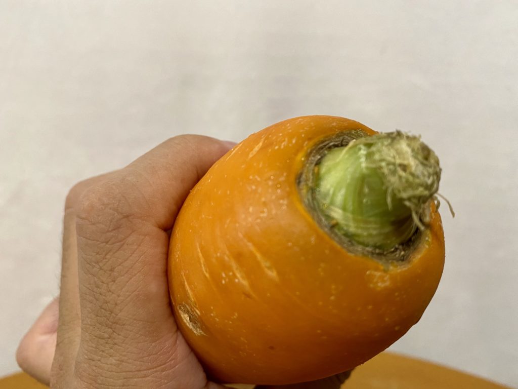 らでぃっしゅぼーや　にんじん　見た目